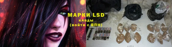 дмт Новодвинск