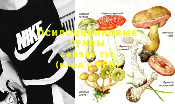 винт Новозыбков