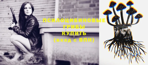 винт Новозыбков