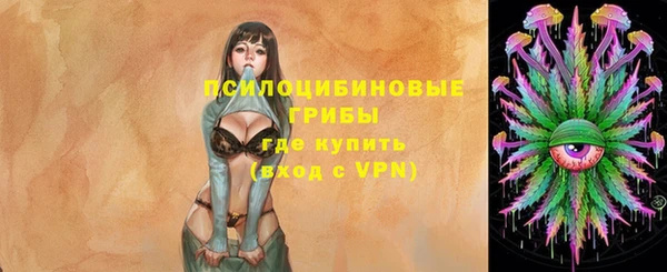 винт Новозыбков