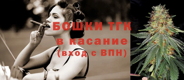 дмт Новодвинск