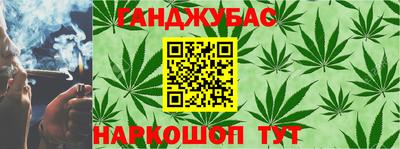 шишки Жуковский