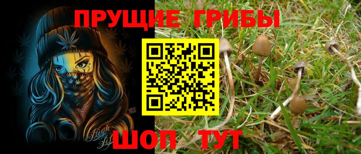 Галлюциногенные грибы MAGIC MUSHROOMS  Вход с VPN  Псилоцибиновые грибы GOLDEN TEACHER  Когалым 